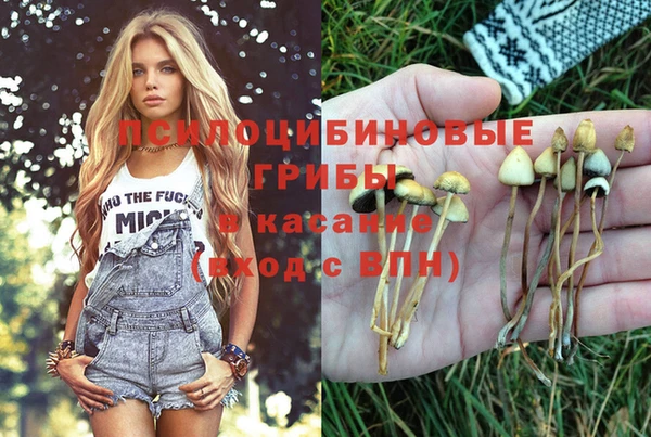 гидропоника Вязьма